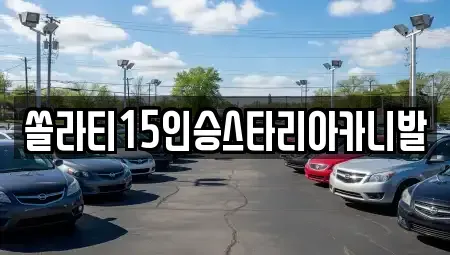 충북 충주시 노은면 렌트카 전문 쏠라티15인승스타리아카니발