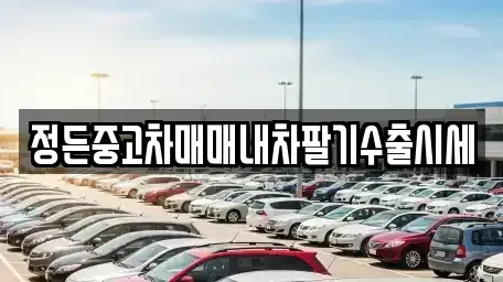충북 충주시 노은면 중고차 전문 정든중고차매매내차팔기수출시세