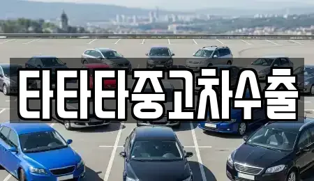 충북 충주시 노은면 중고차 전문 타타타중고차수출