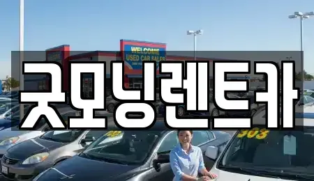 충북 충주시 연수동 렌트카 전문 굿모닝렌트카