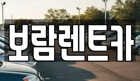 충북 충주시 연수동 렌트카 전문 보람렌트카