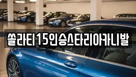 충북 충주시 연수동 렌트카 전문 쏠라티15인승스타리아카니발