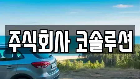 충북 충주시 연수동 렌트카 전문 주식회사 코솔루션