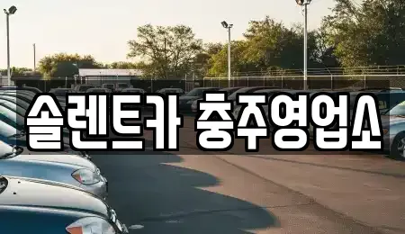 충북 충주시 용탄동 렌트카 전문 솔렌트카 충주영업소