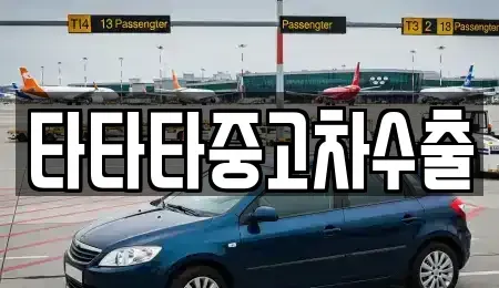 충북 충주시 용탄동 중고차 전문 타타타중고차수출