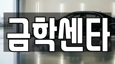 충청남도 공주시 봉정동 중고차 전문 금학센타