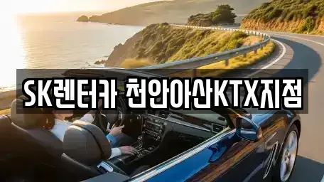 충청남도 천안시 서북구 불당동 장기렌트카 전문 SK렌터카 천안아산KTX지점