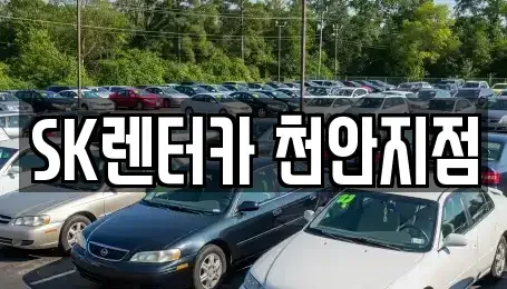 충청남도 천안시 서북구 성정동 렌트카 전문 SK렌터카 천안지점