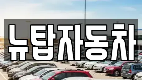 충청남도 천안시 서북구 성정동 중고차매매 전문 뉴탑자동차