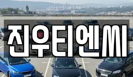 충청남도 천안시 서북구 성정동 중고차매매 전문 진우티엔씨