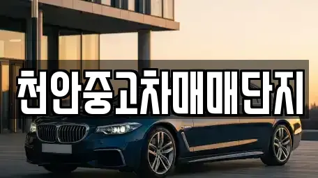 충청남도 천안시 서북구 성정동 중고차매매 전문 천안중고차매매단지