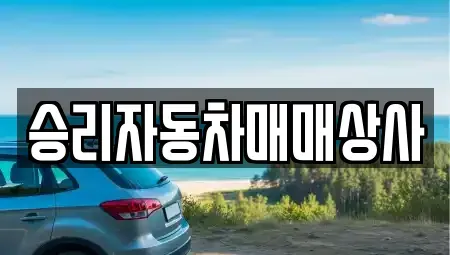 충청북도 제천시 중앙로2가 중고차매매 전문 승리자동차매매상사