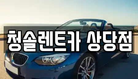 충청북도 청주시 상당구 방서동 렌트카 전문 청솔렌트카 상당점