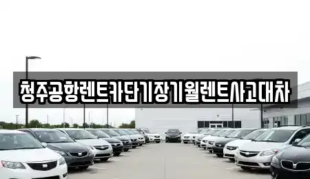 충청북도 청주시 상당구 방서동 렌트카 전문 청주공항렌트카단기장기월렌트사고대차