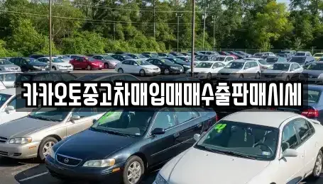 충청북도 청주시 상당구 서운동 중고차 전문 카카오토중고차매입매매수출판매시세