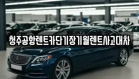 충청북도 청주시 서원구 산남동 단기렌트카,중고차매입,중고차매매,중고차,렌트카,장기렌트카