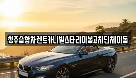 충청북도 청주시 서원구 산남동 렌트카 전문 청주승합차렌트카니발스타리아봉고차단체이동