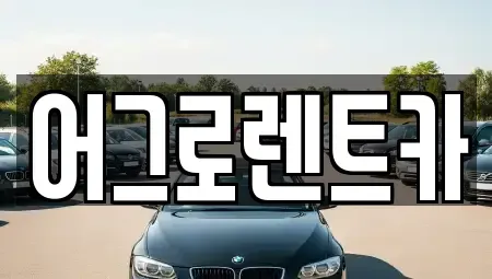 충청북도 청주시 서원구 장암동 렌트카 전문 어그로렌트카