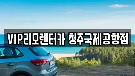 충청북도 청주시 청원구 북이면 렌트카 전문 VIP리모렌터카 청주국제공항점