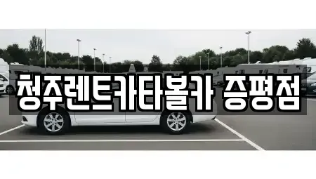 충청북도 청주시 청원구 북이면 장기렌트카 전문 청주렌트카타볼카 증평점