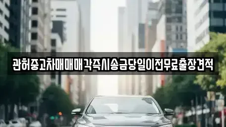충청북도 청주시 청원구 북이면 중고차 전문 관허중고차매매매각즉시송금당일이전무료출장견적