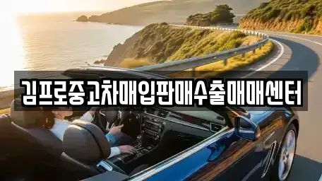충청북도 청주시 청원구 북이면 중고차매입 전문 김프로중고차매입판매수출매매센터