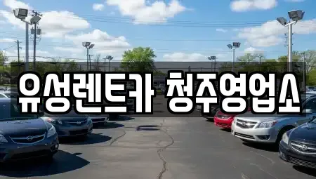 충청북도 청주시 흥덕구 복대동 렌트카,단기렌트카,장기렌트카,중고차,중고차매매,중고차매입