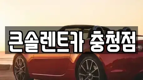 충청북도 청주시 흥덕구 석소동 렌트카 전문 큰솔렌트카 충청점