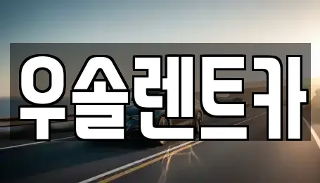 충청북도 청주시 흥덕구 석소동 장기렌트카 전문 우솔렌트카