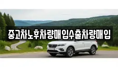 충청북도 청주시 흥덕구 신촌동 중고차 전문 중고차노후차량매입수출차량매입