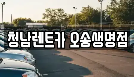 충청북도 청주시 흥덕구 오송읍 렌트카 전문 청남렌트카 오송생명점