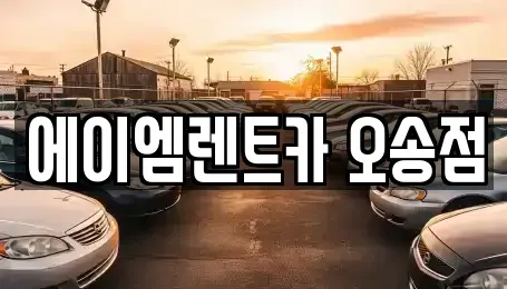 충청북도 청주시 흥덕구 오송읍 장기렌트카 전문 에이엠렌트카 오송점