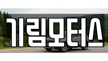 충청북도 청주시 흥덕구 오송읍 중고차매매 전문 기림모터스