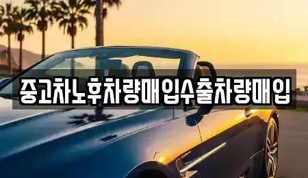 충청북도 청주시 흥덕구 오송읍 중고차매매 전문 중고차노후차량매입수출차량매입