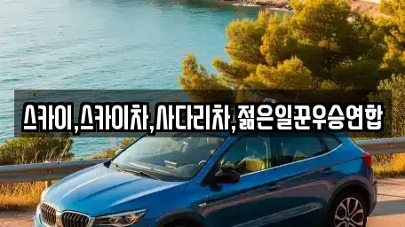 충청북도 청주시 흥덕구 오송읍 중고차매입 전문 스카이,스카이차,사다리차,젊은일꾼우승연합