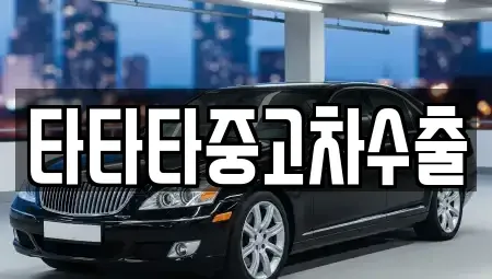 충청북도 충주시 가주동 중고차매매 전문 타타타중고차수출