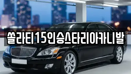 충청북도 충주시 용두동 렌트카 전문 쏠라티15인승스타리아카니발