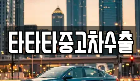 충청북도 충주시 용두동 중고차 전문 타타타중고차수출