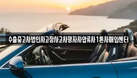 충청북도 충주시 용두동 중고차매입 전문 수출중고차법인차고장사고차망자차압류차1톤차매입센터