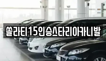 충청북도 충주시 충인동 렌트카 전문 쏠라티15인승스타리아카니발