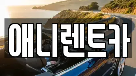 충청북도 충주시 충인동 렌트카 전문 애니렌트카